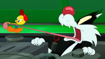 Looney Tunes Cartoons - Episode 24 - Auto Birdy Shop