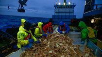 Deadliest Catch - Episode 14 - Bering Sea Crash