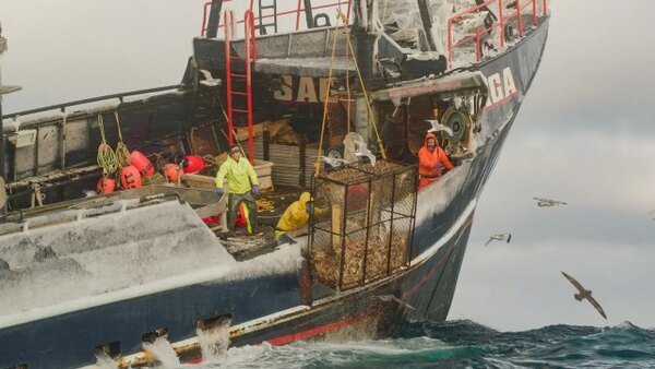 Deadliest Catch - S16E16 - Bering Sea Wrecking Ball