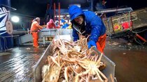 Deadliest Catch - Episode 22 - The Ultimate Price