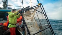 Deadliest Catch - Episode 23 - Port of Last Resort