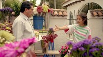 Lady, La Vendedora de Rosas - Episode 16 - Frente a su padre