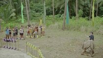 Survivor Quebec - Episode 21