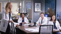 Grey's Anatomy - Episode 17 - Come Fly With Me