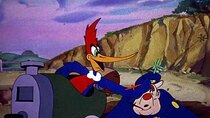 The Woody Woodpecker Show - Episode 2 - The Screwdriver