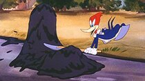The Woody Woodpecker Show - Episode 4 - The Loose Nut