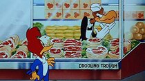 The Woody Woodpecker Show - Episode 7 - Destination Meatball