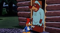 The Woody Woodpecker Show - Episode 3 - The Unbearable Salesman