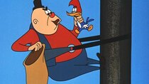 The Woody Woodpecker Show - Episode 5 - To Catch a Woodpecker