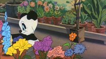 Andy Panda - Episode 22 - The Wacky Weed