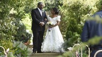 Grey's Anatomy - Episode 19 - Wedding Bell Blues