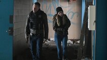 Chicago P.D. - Episode 21 - New Life