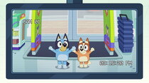 Bluey - Episode 45 - TV Shop