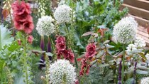 RHS Chelsea Flower Show - Episode 12