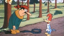 The Woody Woodpecker Show - Episode 3 - How to Trap a Woodpecker