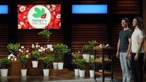 Shark Tank - Episode 21 - Nature's Wild Berry, See The Way I See, Noshi, You Go Natural