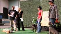 Pit Bulls and Parolees - Episode 6 - Sin City