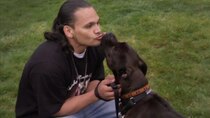 Pit Bulls and Parolees - Episode 4 - A Fighting Chance