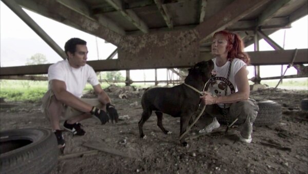 Pit Bulls and Parolees - Ep. 8 - Mission of Mercy