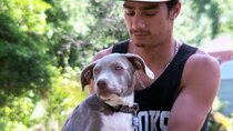 Pit Bulls and Parolees - Episode 5 - Saving Prada