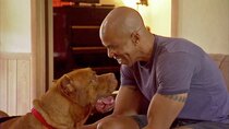 Pit Bulls and Parolees - Episode 11 - Not Meant To Be