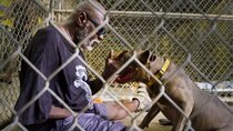 Pit Bulls and Parolees - Episode 6 - Fall From Grace