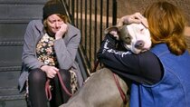 Pit Bulls and Parolees - Episode 7 - Everything for Emma