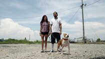 Pit Bulls and Parolees - Episode 8 - One Man's Treasure