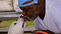 Pit Bulls and Parolees - Episode 2 - Life in a Cage