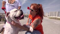 Pit Bulls and Parolees - Episode 1 - Last Chance