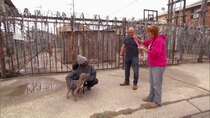 Pit Bulls and Parolees - Episode 18 - New Day, New Blood