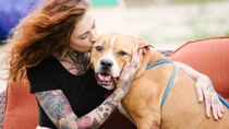 Pit Bulls and Parolees - Episode 2 - Twist of Fate