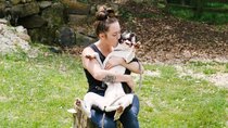 Pit Bulls and Parolees - Episode 5 - Escaping Death