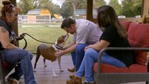 Pit Bulls and Parolees - Episode 11 - Not Giving Up