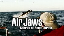 Shark Week - Episode 1 - Air Jaws: Sharks of South Africa