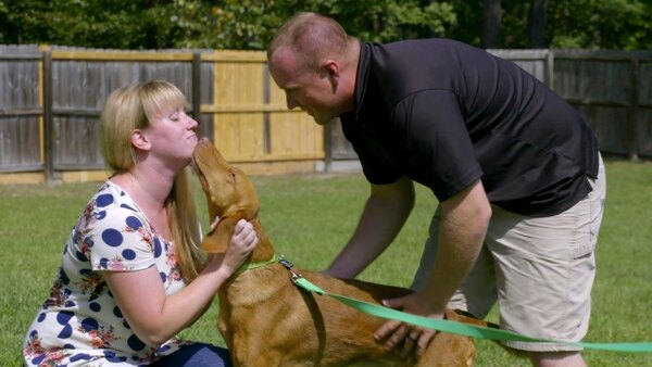 Pit Bulls and Parolees - S13E06 - Fire Dog