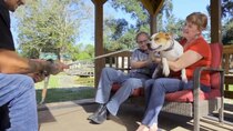 Pit Bulls and Parolees - Episode 9 - The Pitz Carlton