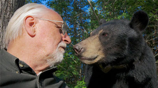 Natural World - S33E09 - A Bear with a Bounty