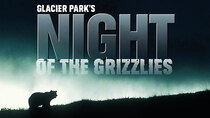 PBS Specials - Episode 26 - Glacier Parks: Night of the Grizzlies
