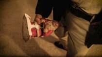 Forensic Files II - Episode 11 - Broken Santa