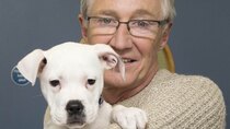 Paul O'Grady: For the Love of Dogs - Episode 8