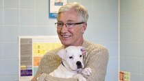 Paul O'Grady: For the Love of Dogs - Episode 10