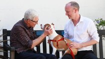 Paul O'Grady: For the Love of Dogs - Episode 11