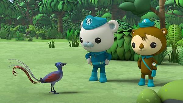 Octonauts Above Beyond Season 3 Episode 14 Octonauts Above Beyond Season 3 Episode 14