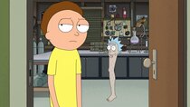 Rick and Morty - Episode 6 - Rickfending Your Mort