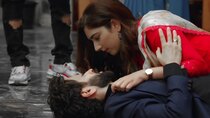 Bade Achhe Lagte Hain 2 - Episode 214 - Priya's Prince Charming