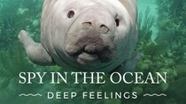 Nature - Episode 3 - Spy in the Ocean: Deep Feelings