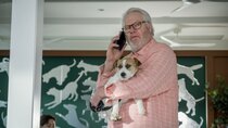 NCIS: Sydney - Episode 5 - Doggiecino Day Afternoon
