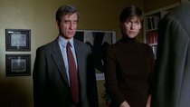 Law & Order - Episode 14 - Working Mom