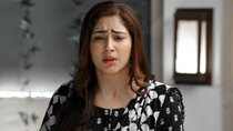 Bade Achhe Lagte Hain 2 - Episode 252 - Nandini Kapoor's Truth